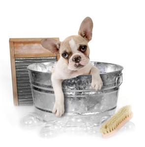 A bath is a great way to relieve skin symptoms of allergies!